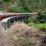 Thumbnail Photo for the Whitsundays and Cairns Gallery.